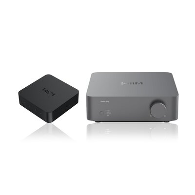 WIIM Vibelink Amp Ciemnoszary + Odtwarzacz sieciowy WIIM Pro Plus