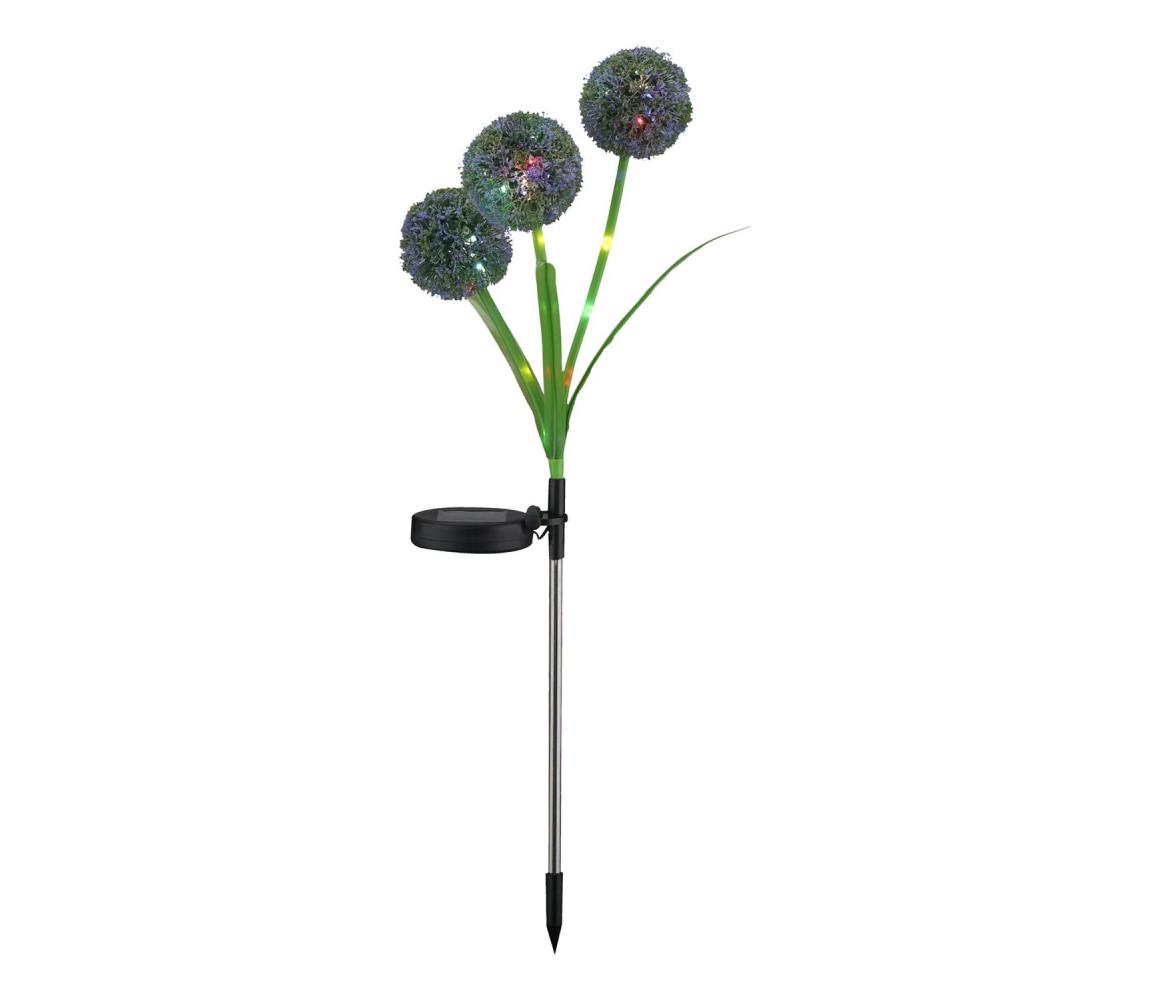 Polux LED RGB Oświetlenie solarne ALLIUM LED/1,2V 6500 600 mAh IP44 czarny