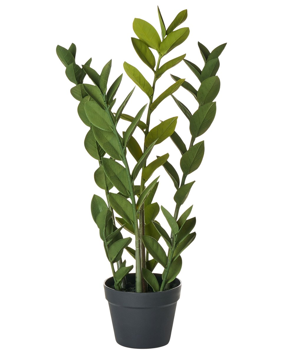 Sztuczna roślina ZAMIIFOLIA 76 cm Zielony
