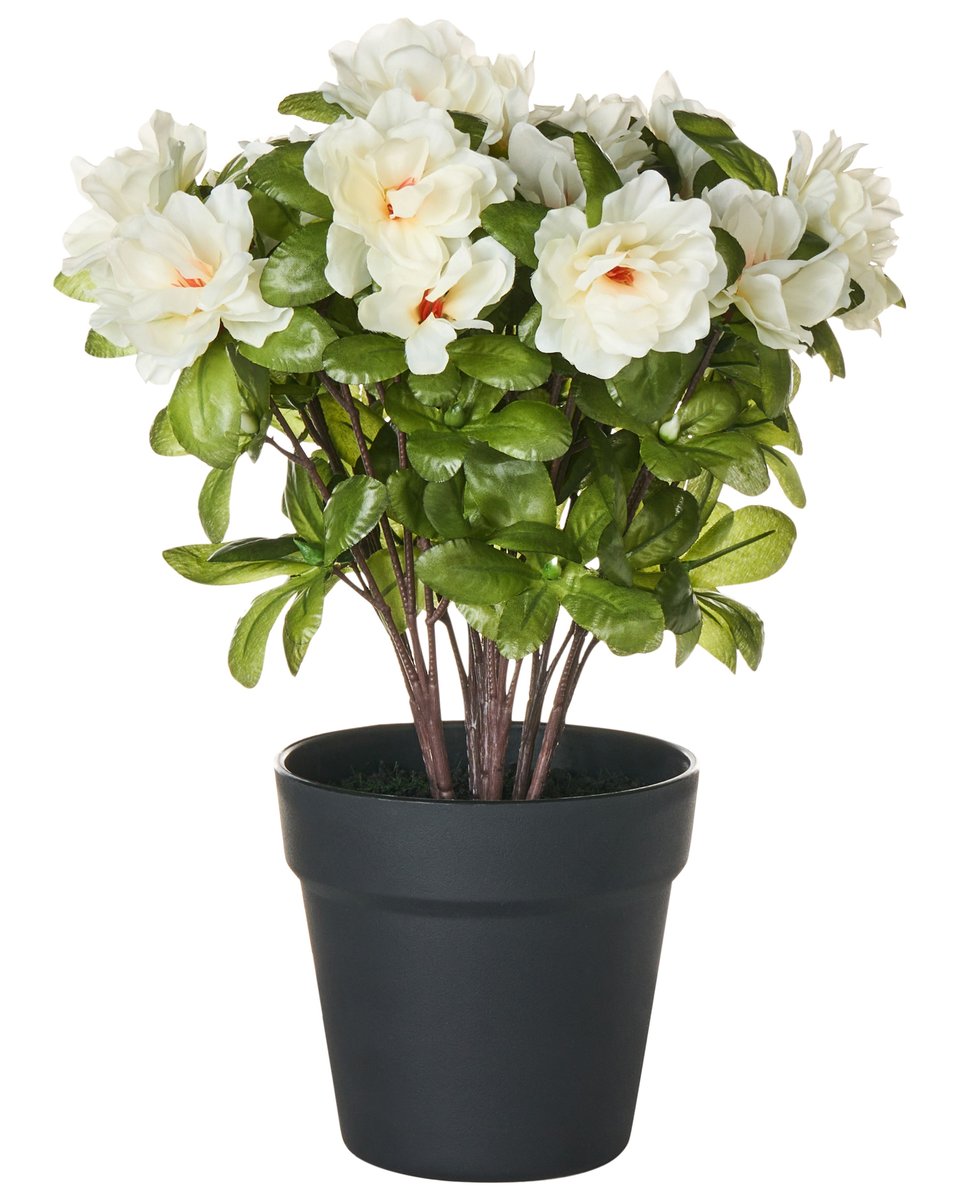 Sztuczna roślina NOVELLA 36 cm Biały