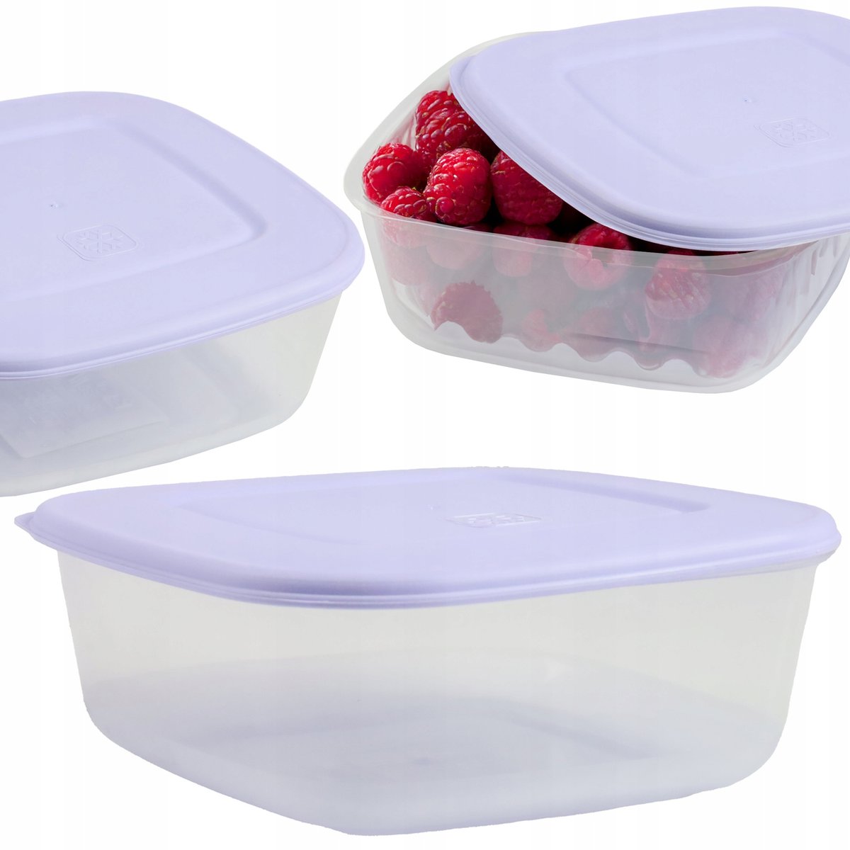 Plastikowy Pojemnik Z Pokrywką Do Przechowywania Zamrażania Żywności 0,93L