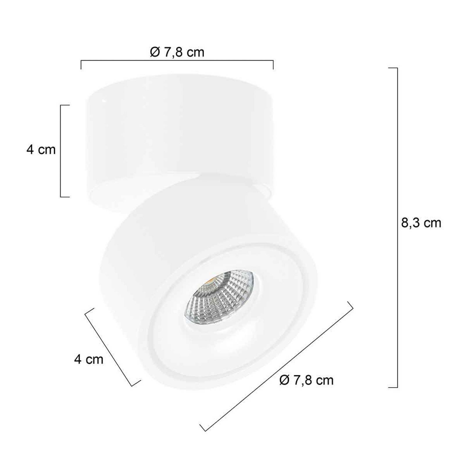 Steinhauer Reflektor sufitowy LED Fez, biały, 1-punktowy, metalowy, obrotowy możliwość ściemniania, biały / opal, salon / jadalnia, metal, nowoczesny