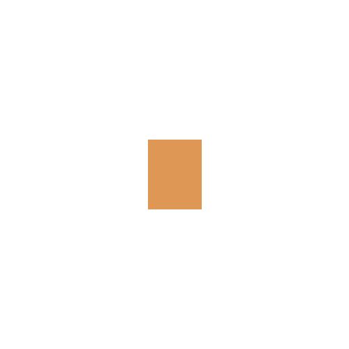 Base of Sweden Waterproof Full Coverage Foundation SPF30 Podkład 30 ml Odcień Golden