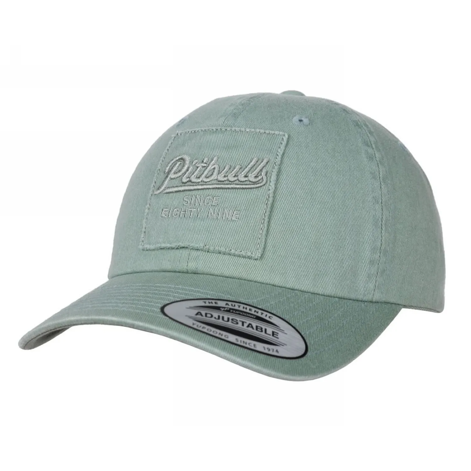 PITBULL Snapback Seabridge Classic '25 - Jasnozielona