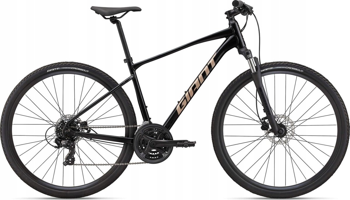 Rower crossowy Giant Roam 4 Disc 2022 rama M koło 28 