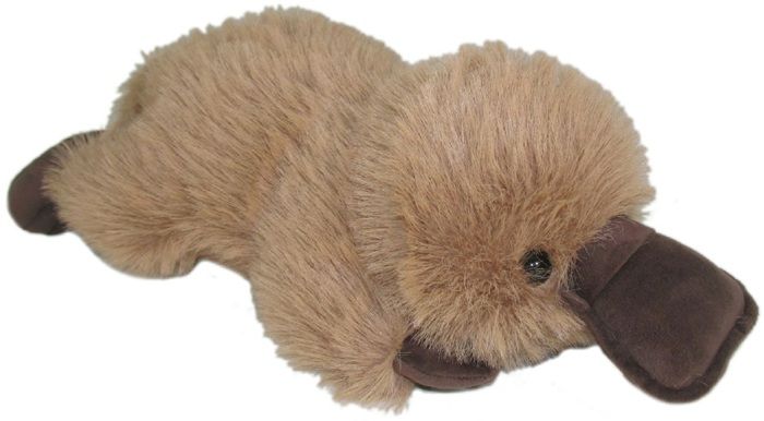 Dziobak 32cm - zabawka