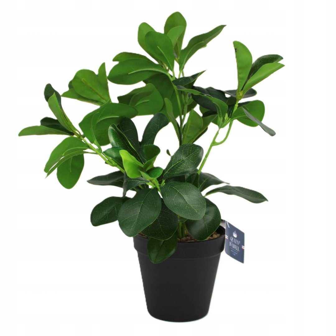 SZTUCZNA ROŚLINA W DONICZCE FIKUS -DEKORACJA WNĘTRZ