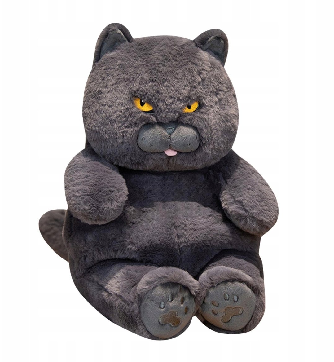 Kot brytyjski krótkowłosy pluszowy 30 cm Przytulanka Pluszak Śmieszny Kot