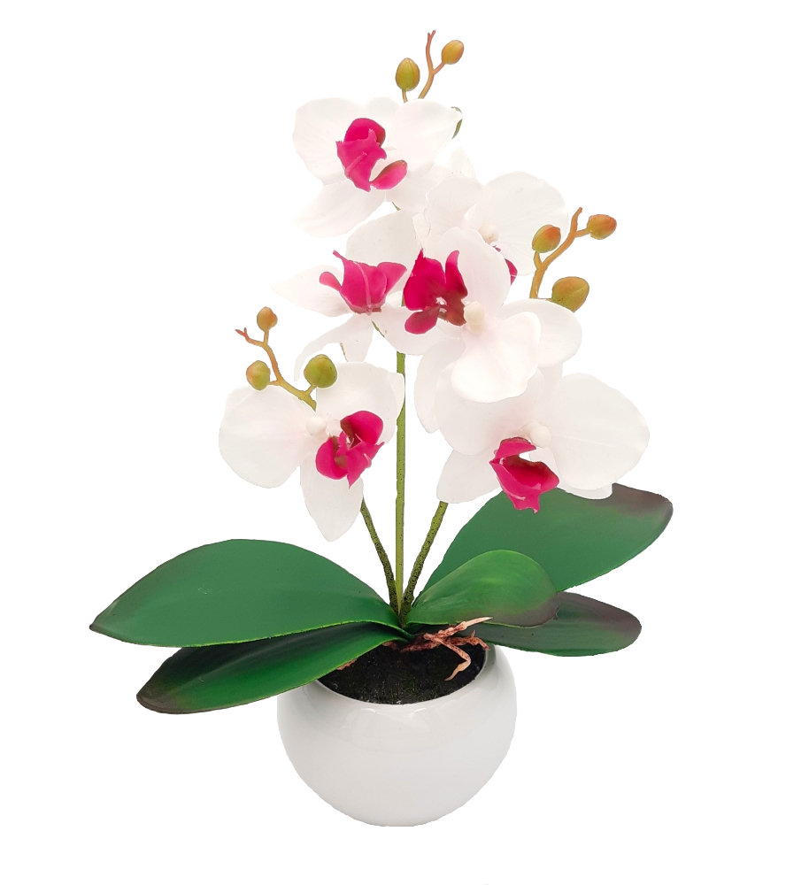 Storczyk sztuczny jak żywy w doniczce biały z różowym środkiem 28 cm
