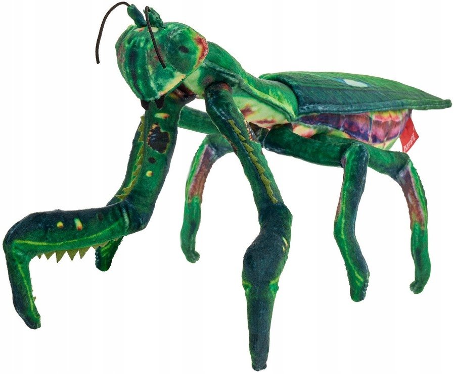 Maskotka Modliszka - 36cm