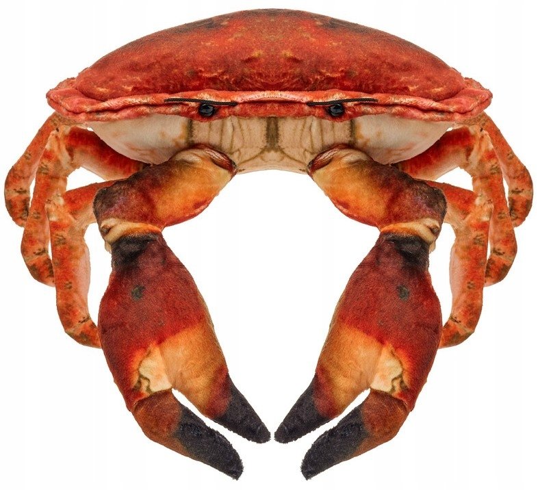 Maskotka Krab słonowodny - 26cm