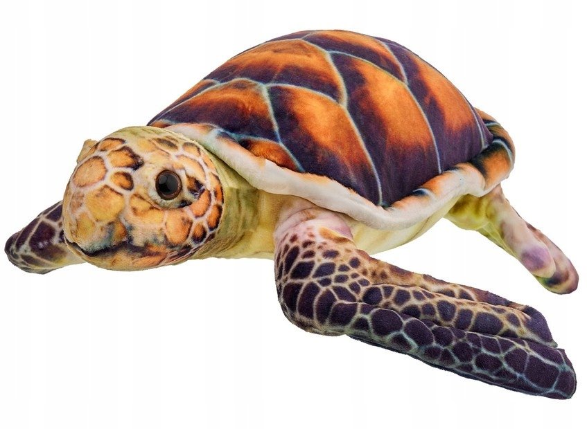 Maskotka Żółw Brązowy - 38cm