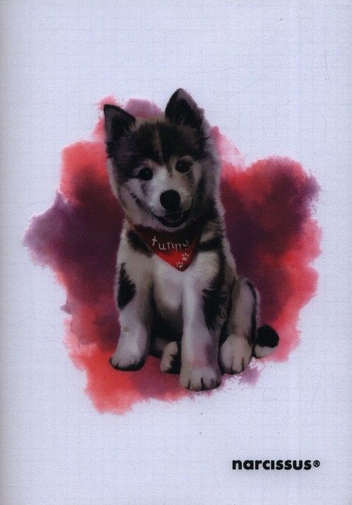 Zeszyt Pp Joy A5 w kratkę 60 kartek 80g - artykuł papierniczy