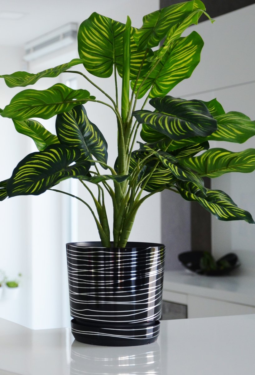 18 cm wzór CZARNA ZE SREBRNĄ NITKĄ * Doniczka z podstawką * glamour * lustrzane dodatki * wysoki połysk * z drenażem * klasyczna czarna + srebrne ..