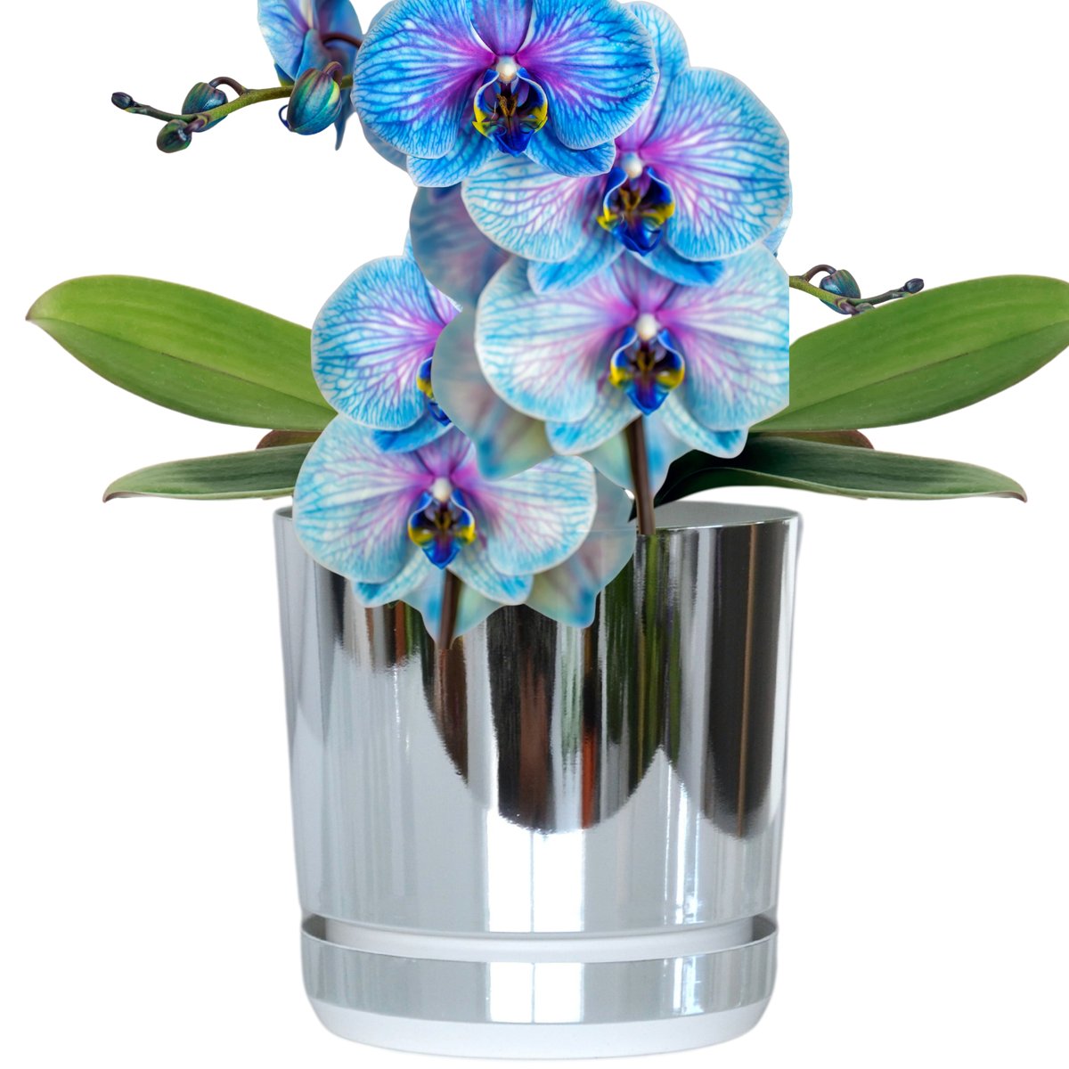 18 cm wzór KRAINA LODU * Doniczka z podstawką * glamour * elegancka *efekt lustra * wysoki połysk * z drenażem * nowoczesna * minimalizm * biało sre..