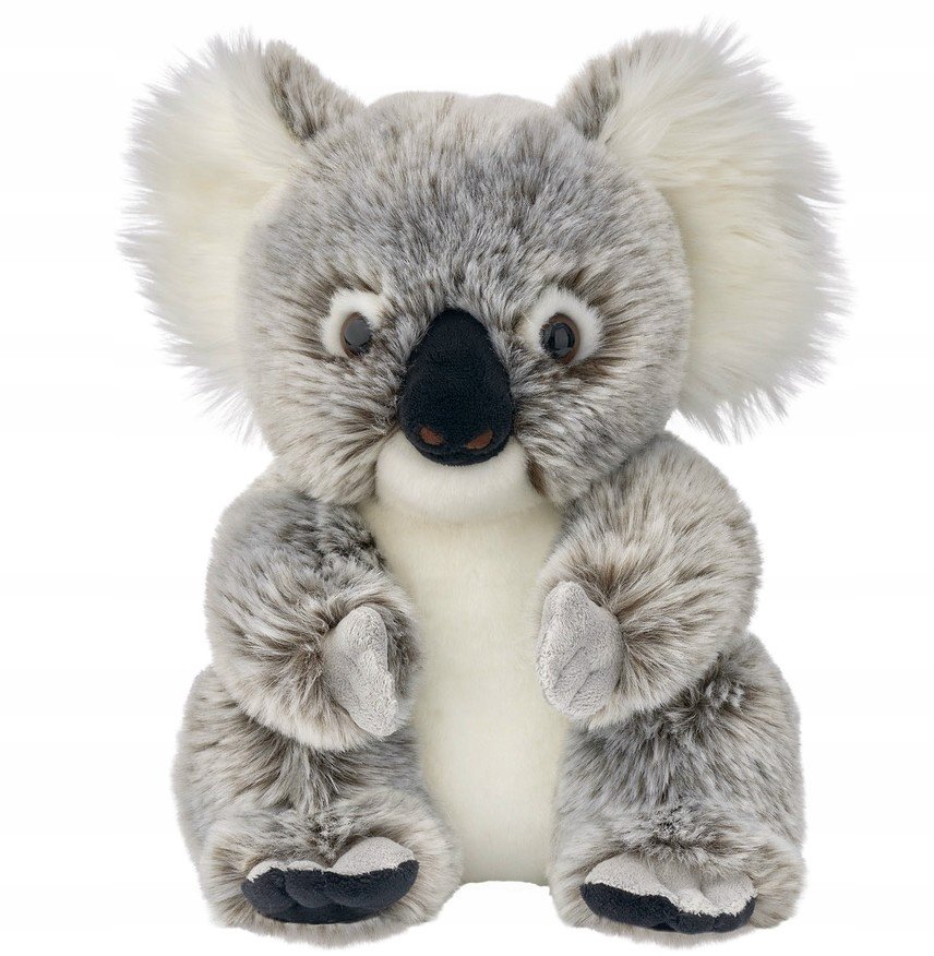 Maskotka Miś Koala Australijski Realistyczny - 25cm
