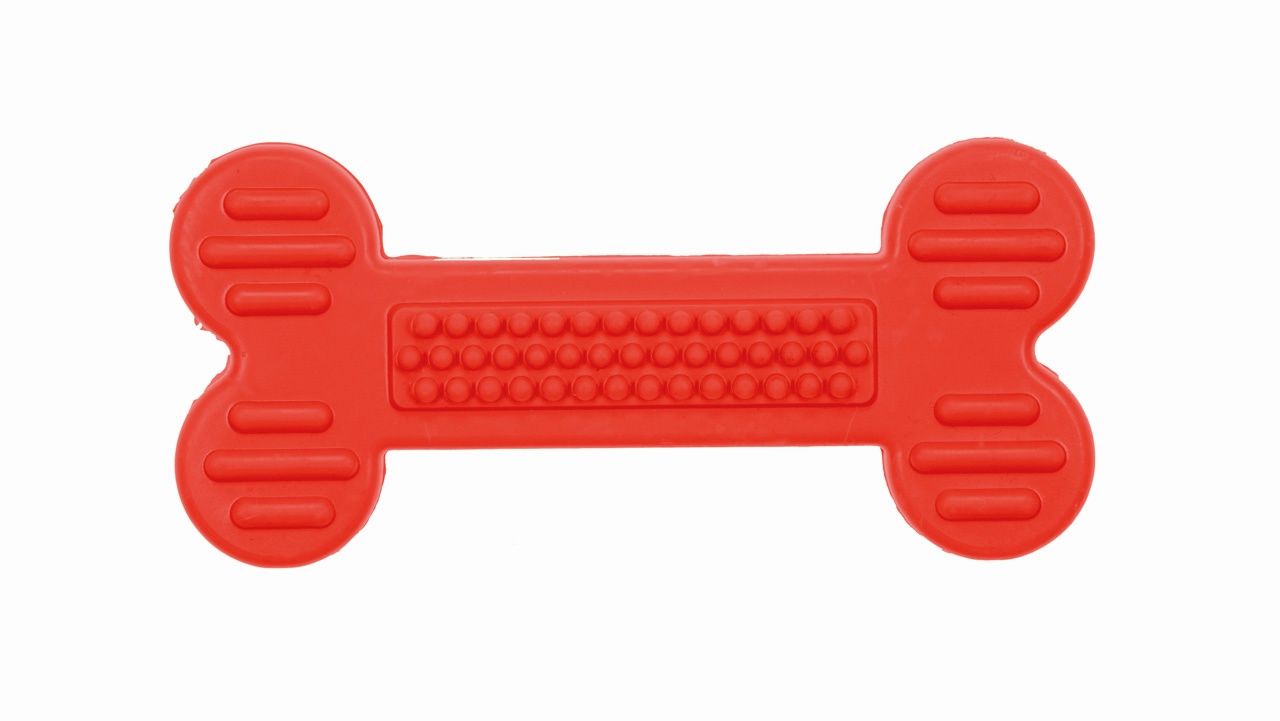 Kość, gryzak, dla psa, guma, 15 x 7 x 1, 5 cm