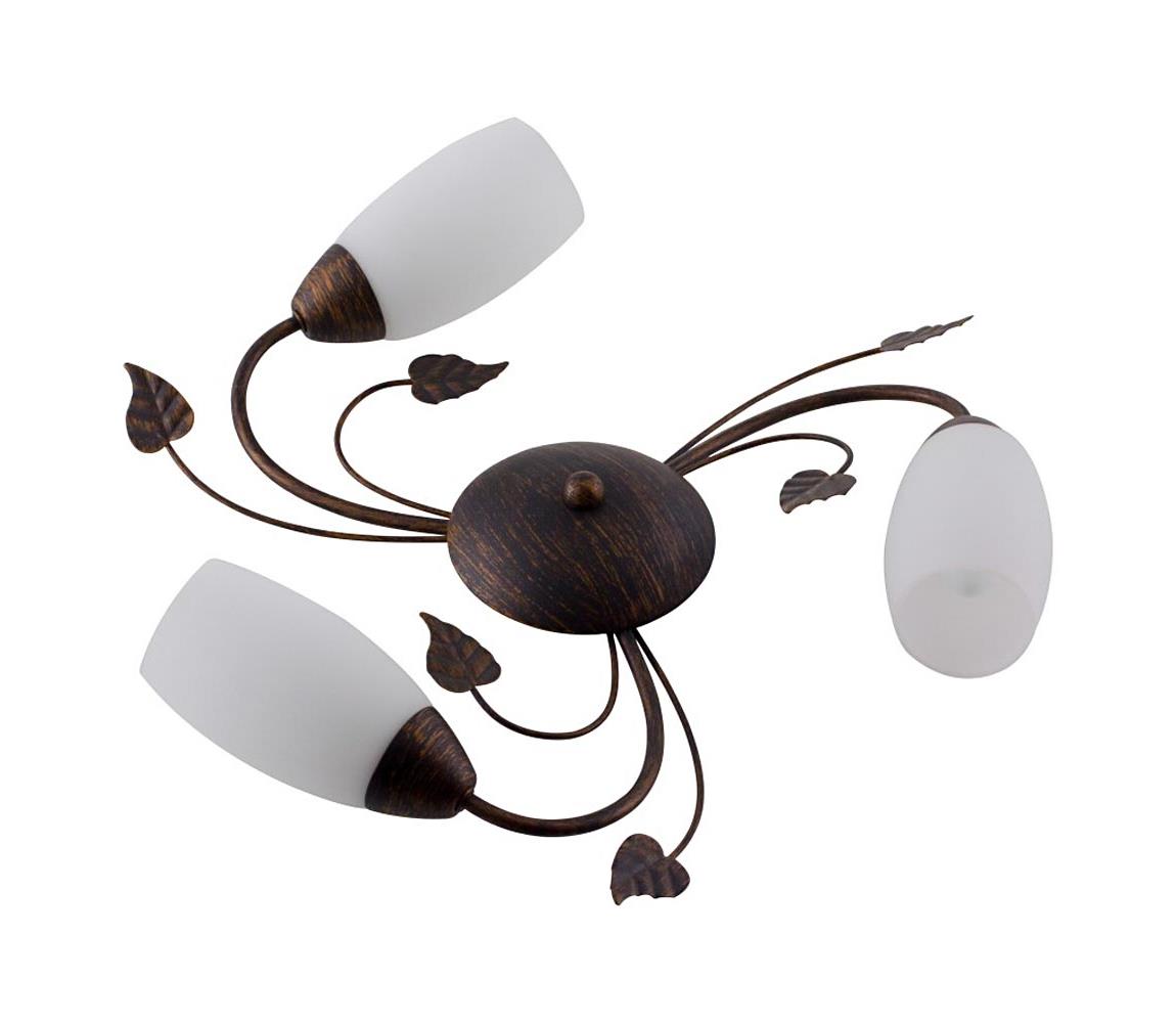 Globo 60800323X - Żyrandol natynkowy VENEZIA 3xE14/40W/230V