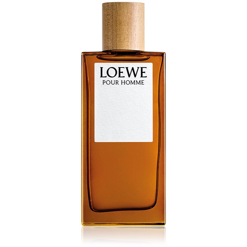 Loewe Loewe Pour Homme woda toaletowa dla mężczyzn 100 ml