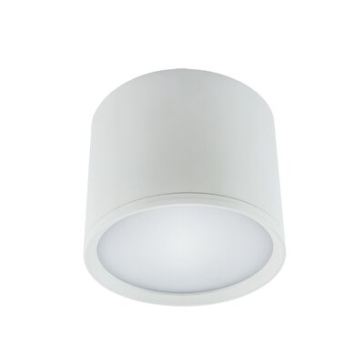 Oprawa sufitowa ROLen LED 10 W white nW strühm