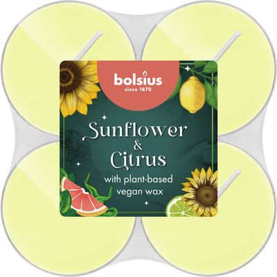 Podgrzewacze zapachowe Sunflower Citrus 8 sztuk