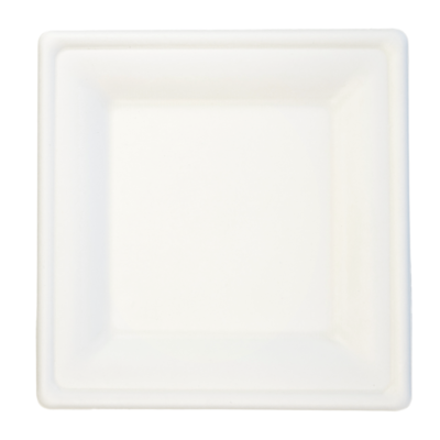 Talerz biodegradowalny z trzciny cukrowej 20 cm 6 sztuk