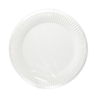 Talerz papierowy 23 cm 10 sztuk