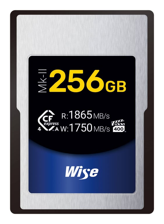 Wise CFX4-A256M2 pamięć flash 256 GB CFexpress typ A CFX4-A256M2