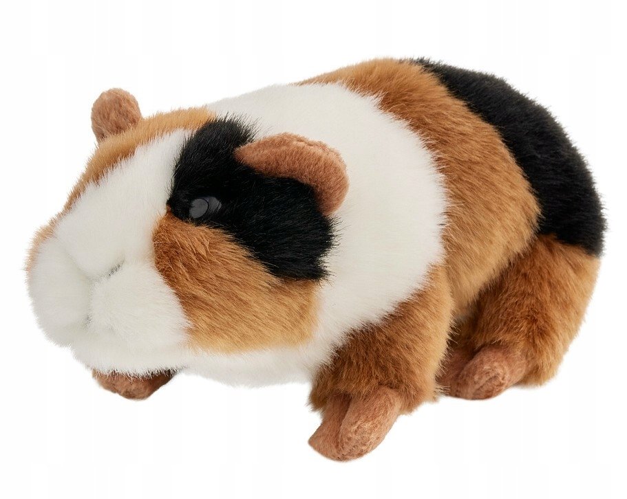 Maskotka Świnka Morska Realistyczna - 18cm