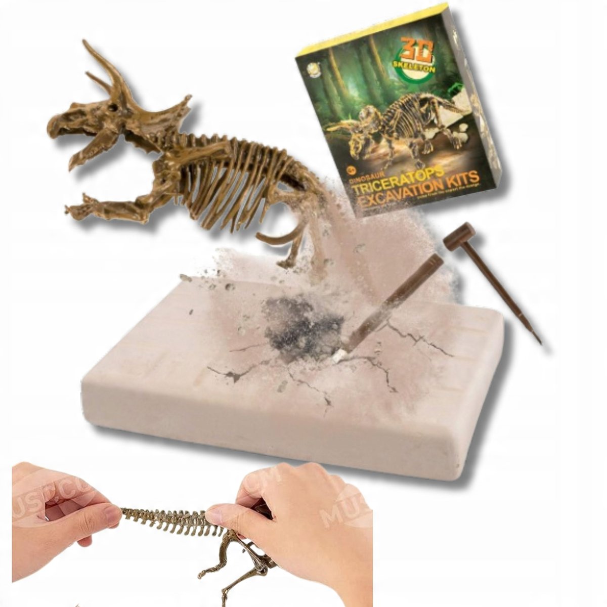 Zestaw Do Wykopalisk Triceratops Dinozaur Dzieci Maly Odkrywca Edukacja