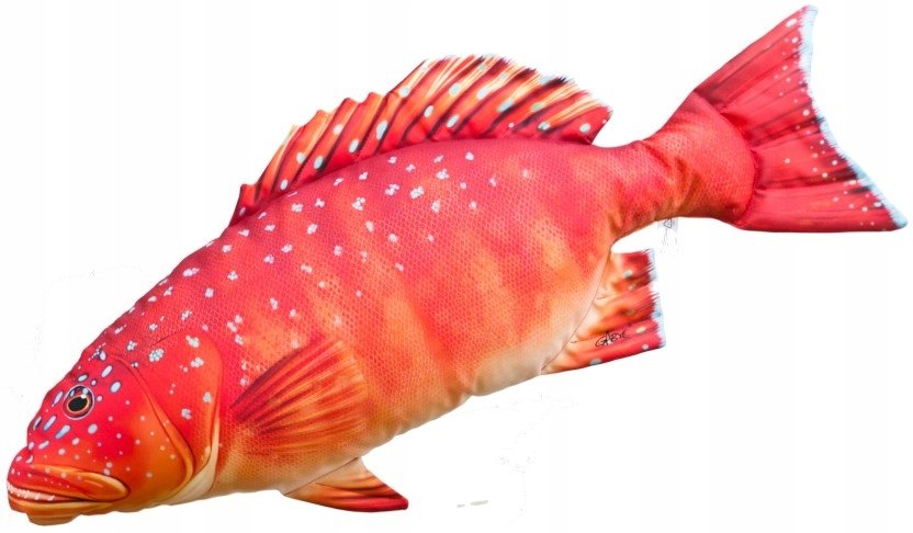 Maskotka Ryba Pstrąg Koralowy - 81cm