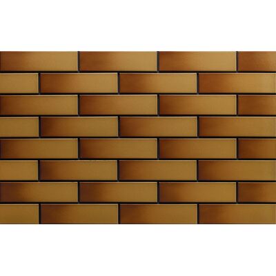 Elewacja miodowa szkliwiona 245 x 65 x 6,5 mm