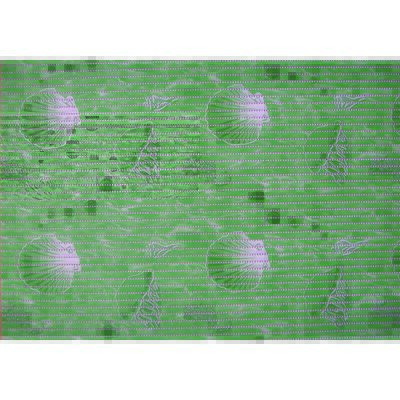 Mata piankowa shell 50 x 80 cm zielona