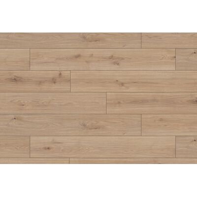 Krono Original Panel podłogowy Dąb Dąb Native AC4 8 mm