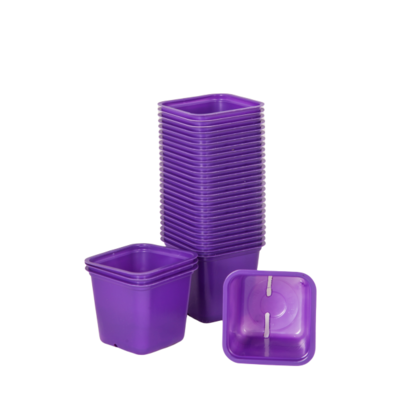 Doniczka do rozsady kwadratowa 6 cm fioletowa 30 szt. VEFI