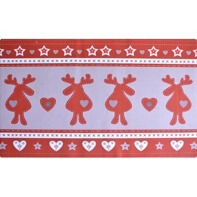 Wycieraczka Vision 40 x 60 cm wz15