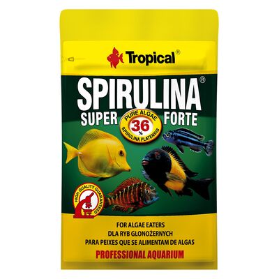 Pokarm dla ryb Super Spirulina Forte 36% płatek 12 g Tropical