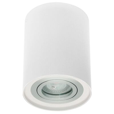 Oprawa sufitowa IVO 1W/AL. tuba biała aluminium OZZO