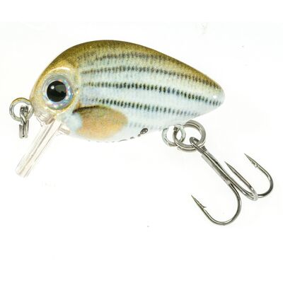 Wobler ATRACT PIXEL I 2,5 cm