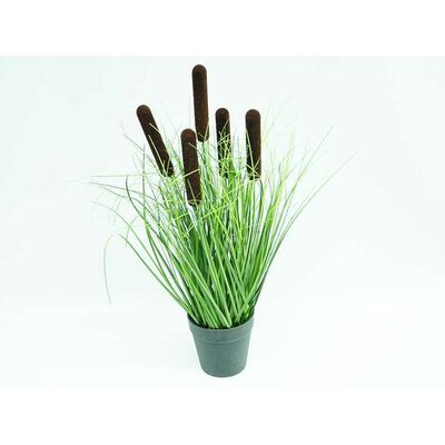 Trawa w doniczce 45 cm