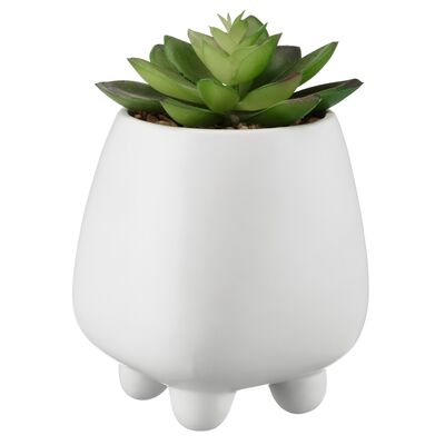 Sztuczny sukulent 10 x 17 biały