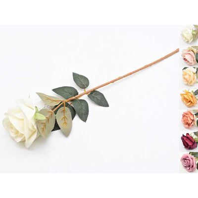 Róża pojedyncza 50 cm