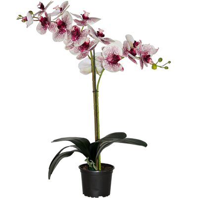 Storczyk sztuczny premium 18 kwiatów 80 x 12 cm