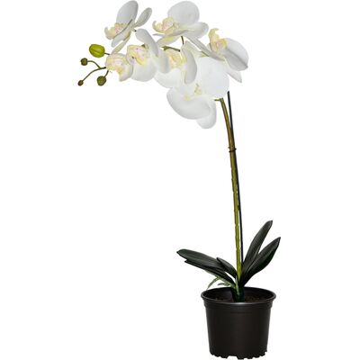 Storczyk sztuczny premium 7 kwiatów 70 x 12 cm