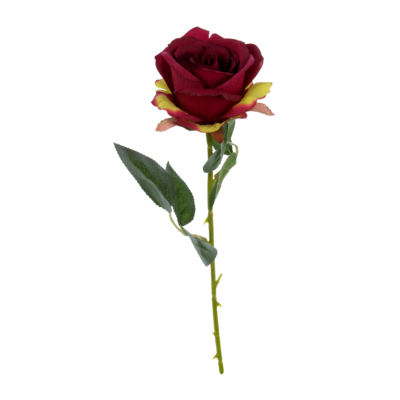 Róża 52 cm mix kolorów MF-ROS53