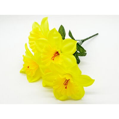 Żonkil bukiet 5 sztuk