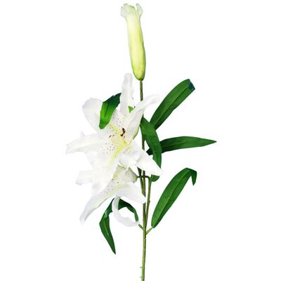 Lilia 2 gałązki z pąkiem i błyszczącymi liśćmi