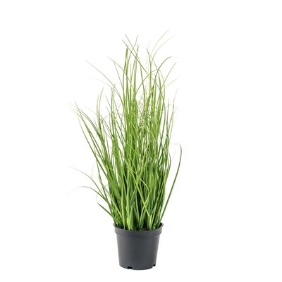 Trawa sztuczna dekoracyjna w doniczce 40 x 10 cm