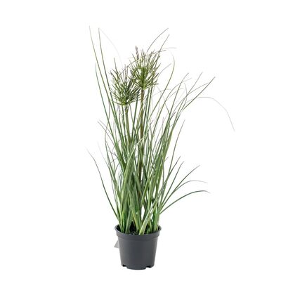Sztuczna trawa ozdobna w doniczce 38 x 10 cm
