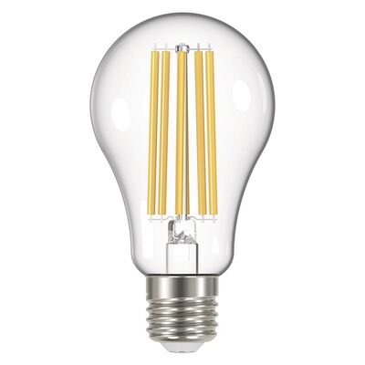 Żarówka LED Filament A67 17W E27 ciepła biel